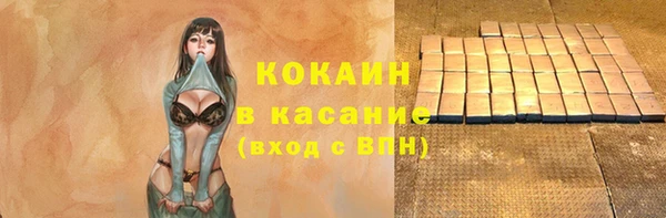 гашик Алексин