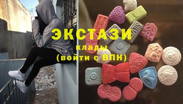 гашик Алексин