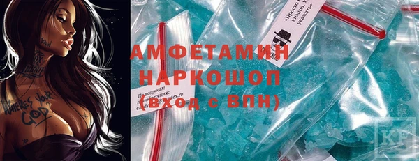 гашик Алексин