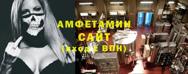 гашик Алексин