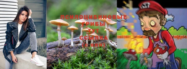 PSILOCYBIN Алексеевка