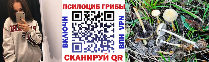 Псилоцибиновые грибы мицелий  Усолье-Сибирское 
