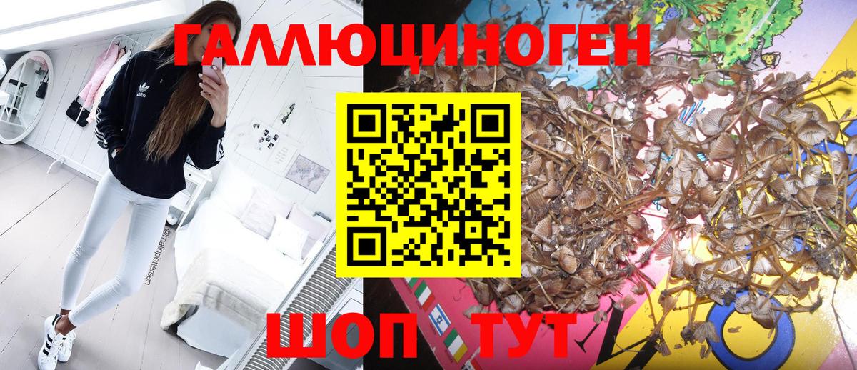 Усолье-Сибирское  Галлюциногенные грибы мицелий  Галлюциногенные грибы Cubensis  Вход с VPN 